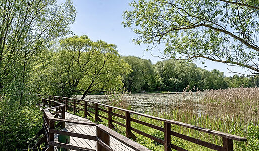 Апартаменты с выходом на патио