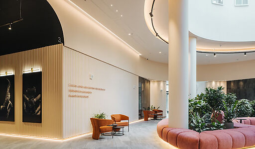 Видовой ЖК Режиссеер