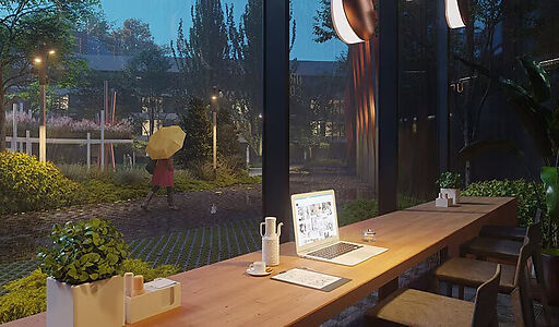 Видовой ЖК Режиссеер