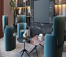 Видовой ЖК Режиссеер