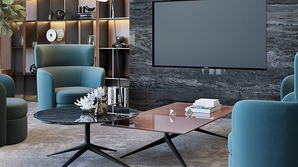 Видовой ЖК Режиссеер