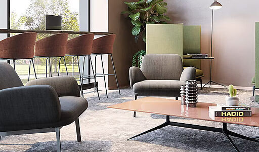 Видовой ЖК Режиссеер