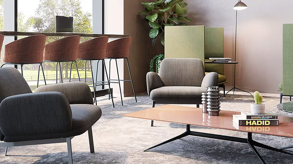 Видовой ЖК Режиссеер