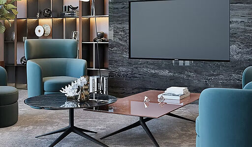 Видовой ЖК Режиссеер