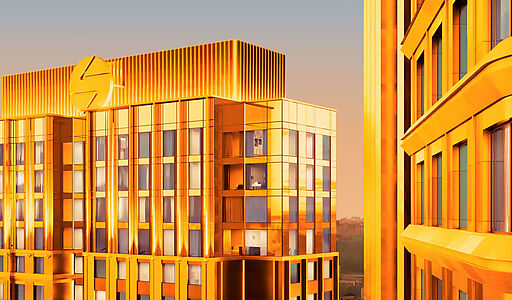 Видовой ЖК Режиссеер