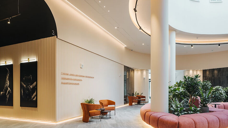 Видовой ЖК Режиссеер