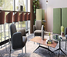 Видовой ЖК Режиссеер