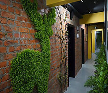 Готовый бизнес на Кедрова