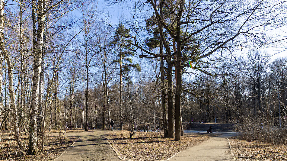 Просторный дом в Лианозово