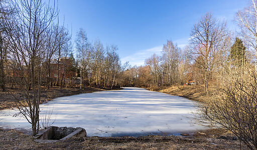 Просторный дом в Лианозово