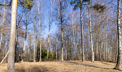 Просторный таунхаус в Лианозово