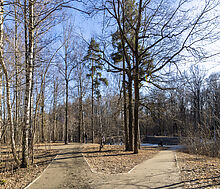 Дом под отделку в ДСК Ларин