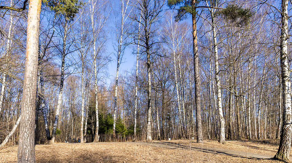 Таунхаус под отделку в Лианозово