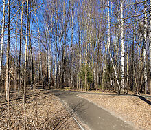 Таунхаус под отделку в Лианозово