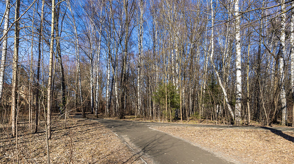 Таунхаус под отделку в Лианозово