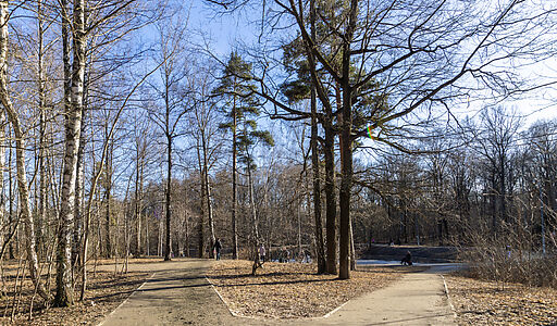 Уютный дом в Лианозово