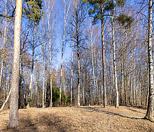 Уютный дом в Лианозово