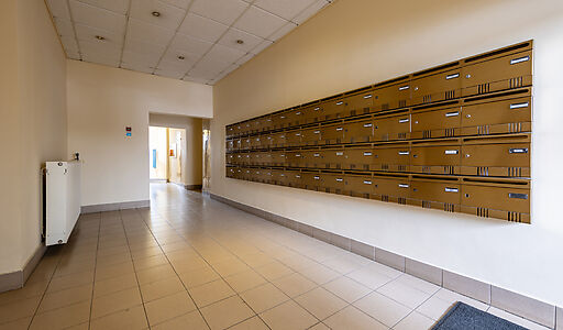 Квартира большая ЖК Газпром